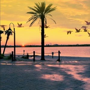 Meet your Posher, Vianey